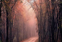 大连一方和上海申花迎来关键交锋