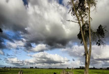 东契奇砍下分，斯洛文尼亚男篮力克意大利