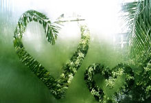 球队取得胜利，球员表现尽显英勇